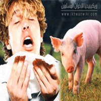 انفلونزا-الخنازير1.png