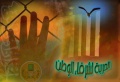اخبار1132009.jpg