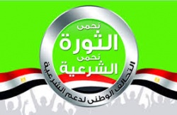 التحالف يبدأ إحياء ذكرى رابعة.jpg