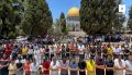 تصغير للنسخة بتاريخ ١٠:٢٣، ٢٠ مارس ٢٠٢٢