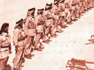 الجيش-السعودي-فى-حرب-فلسطين.gif