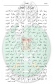 تصغير للنسخة بتاريخ ٢١:٤٢، ١٧ فبراير ٢٠٢١