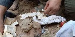 فتش عن الفقر والجهل والمرض.jpg