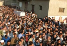 الحيوان3.jpg