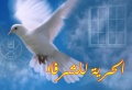 تصغير للنسخة بتاريخ ١٩:٣٠، ٢٢ أغسطس ٢٠١١