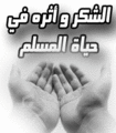 تصغير للنسخة بتاريخ ١١:٣٩، ١١ يونيو ٢٠١٠