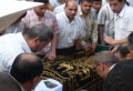 تصغير للنسخة بتاريخ ١٥:٠١، ١ أغسطس ٢٠١١
